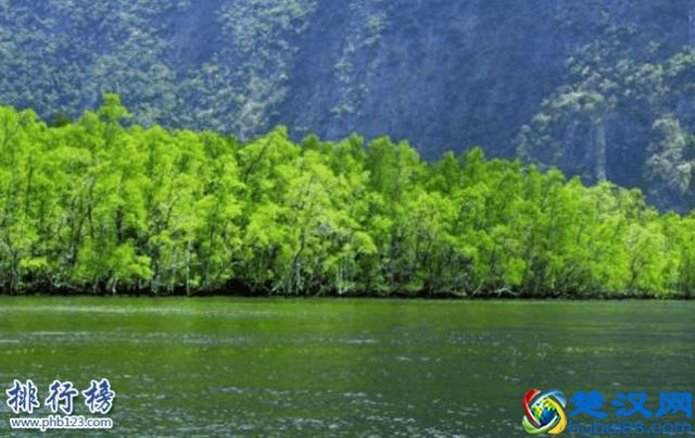 令尊令堂安否?--掌握一些常用尊称和谦称,提升社交水准