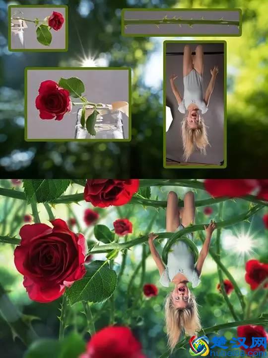 什么是数据库？数据库有什么用？