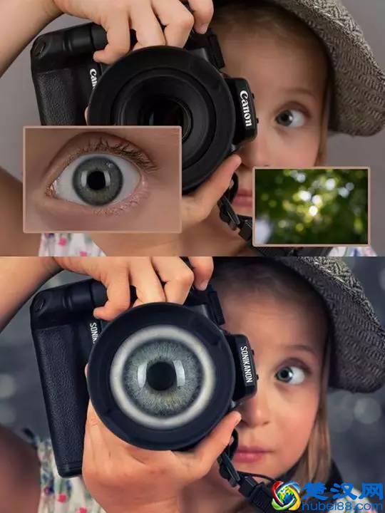 什么是胰多肽？别着急，这一篇文章就来给你科普清楚