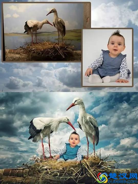 什么是血清白蛋白？血清白蛋白的正常值是多少？