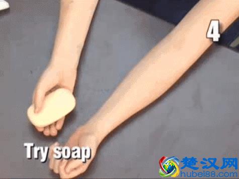 生活中有哪些食物是碱性的？