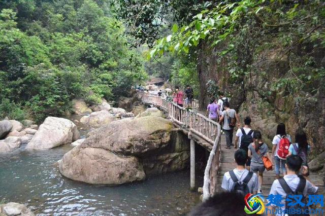 你真的了解ppm吗？