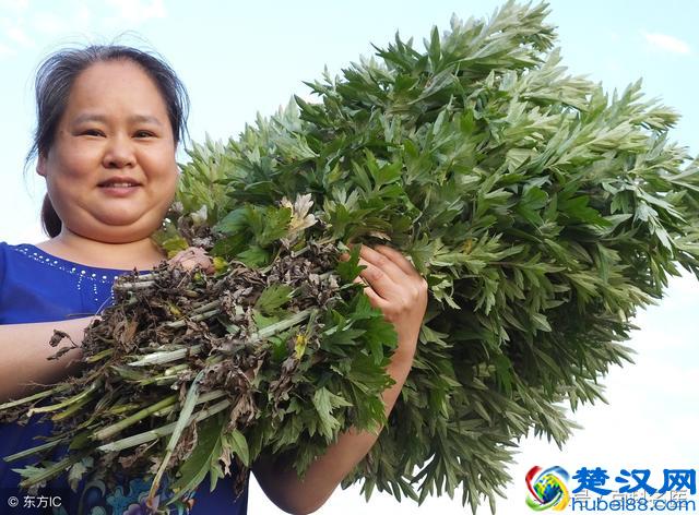 什么凡士林最好用 真正白菜还好用的东西在这里