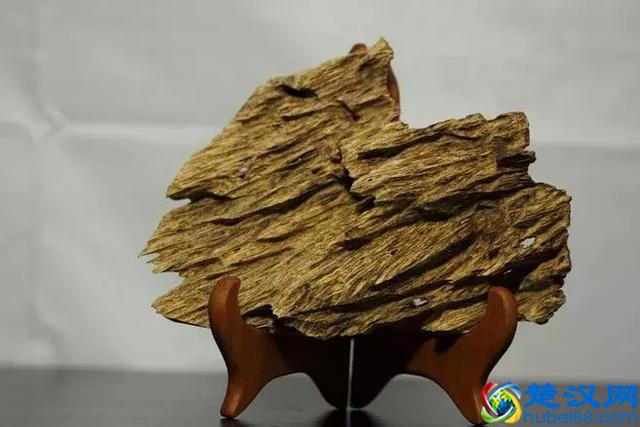 什么才是真正的沉香，沉香又从何而来呢？沉香的功效