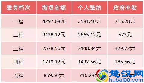 最新，2019年度城乡居民基本养老保险缴费金额公布！
