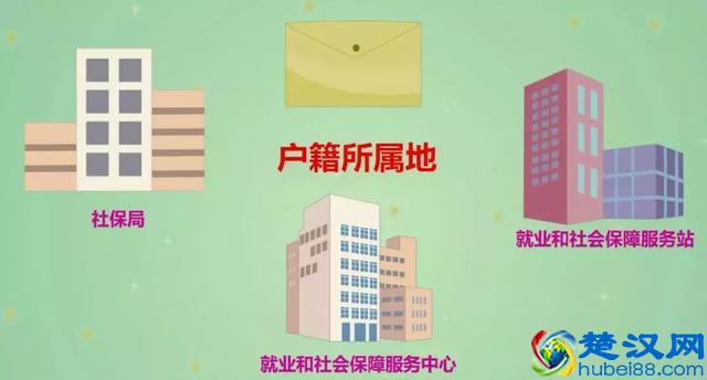 最新，2019年度城乡居民基本养老保险缴费金额公布！