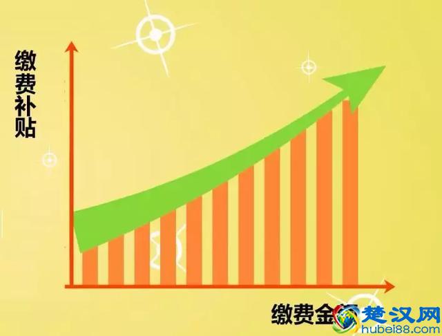 最新，2019年度城乡居民基本养老保险缴费金额公布！