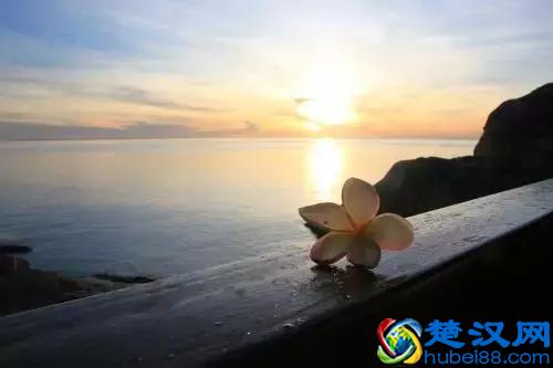 当我们站在桥头，看车水马龙的城市