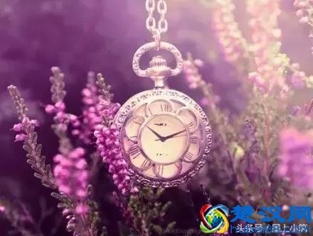 人呐，做什么也别做白眼狼！（经典好文）