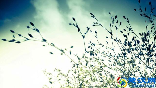 人呐，做什么也别做白眼狼！（经典好文）