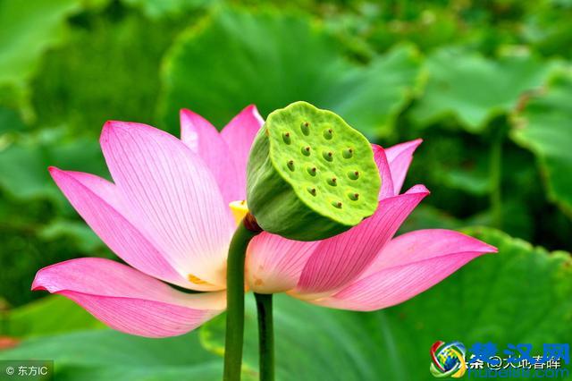 人活着到底是为了什么？十句话告诉你，把人生讲透了！