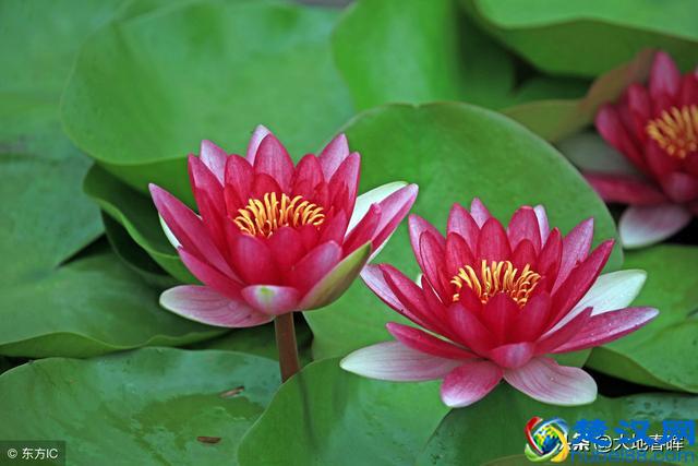 人活着到底是为了什么？十句话告诉你，把人生讲透了！