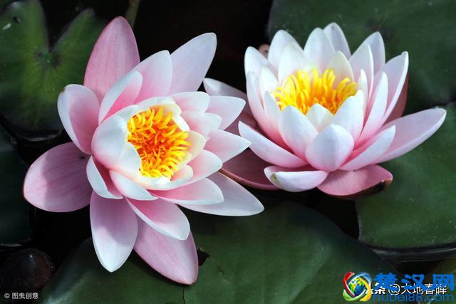 人活着到底是为了什么？十句话告诉你，把人生讲透了！