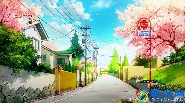 四月下的种子,六月开的花