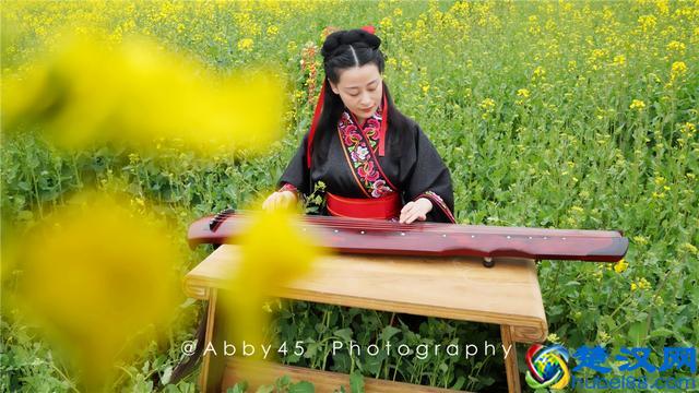 武汉人山人海皆因花海，继樱花大火之后，5万亩油菜花地红遍抖音