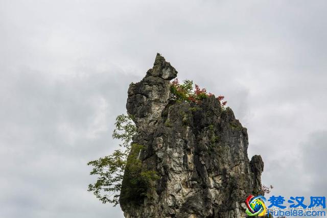 大自然的鬼斧神工简直神奇，不论是什么都雕刻得那么相像