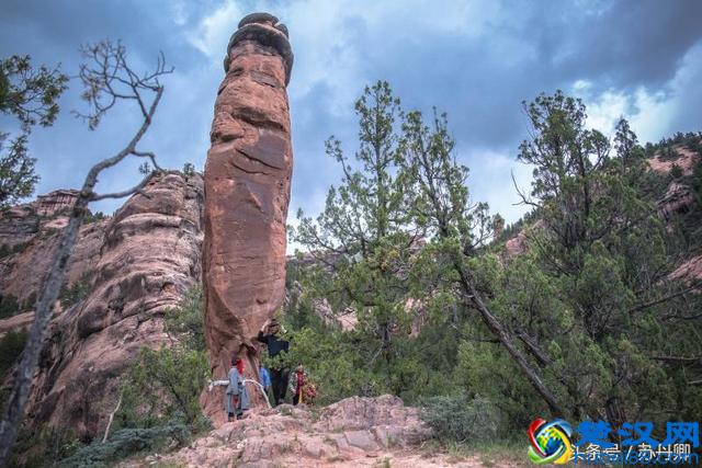 大自然的鬼斧神工简直神奇，不论是什么都雕刻得那么相像