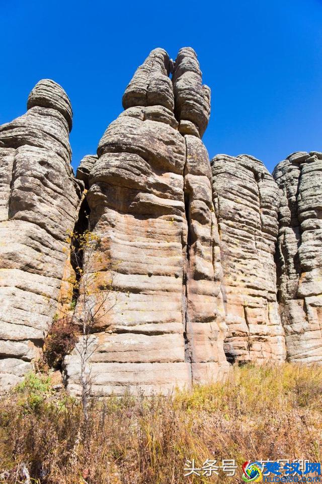 大自然的鬼斧神工简直神奇，不论是什么都雕刻得那么相像