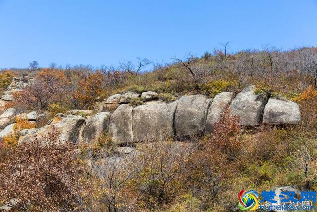 大自然的鬼斧神工简直神奇，不论是什么都雕刻得那么相像