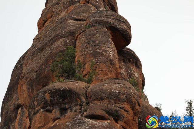 大自然的鬼斧神工简直神奇，不论是什么都雕刻得那么相像