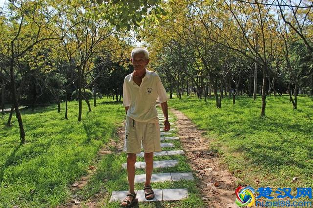 社会空巢老人越来越多，到底是什么导致这个原因呢？