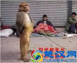 导购的3种基本礼仪，每个店员都要懂