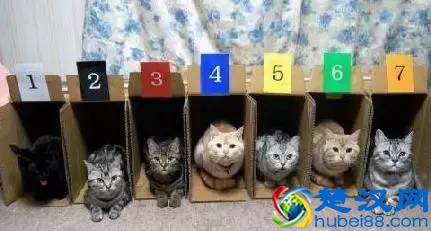 导购的3种基本礼仪，每个店员都要懂