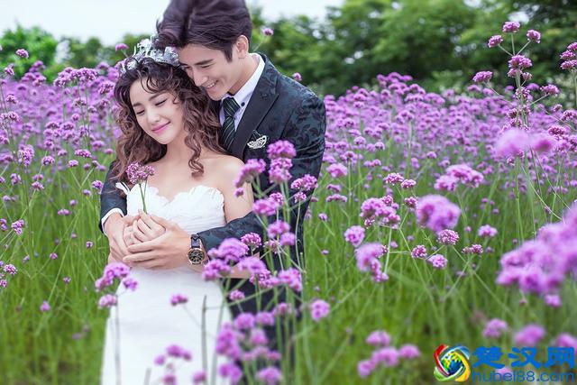 薰衣草代表了爱情，薰衣草花语，原来还有这么多含义？