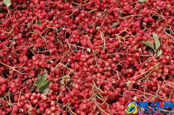 农村致富项目，种植什么最赚钱？来听听湖南种植大户怎么说