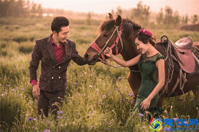 薰衣草代表了爱情，薰衣草花语，原来还有这么多含义？