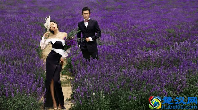 薰衣草代表了爱情，薰衣草花语，原来还有这么多含义？