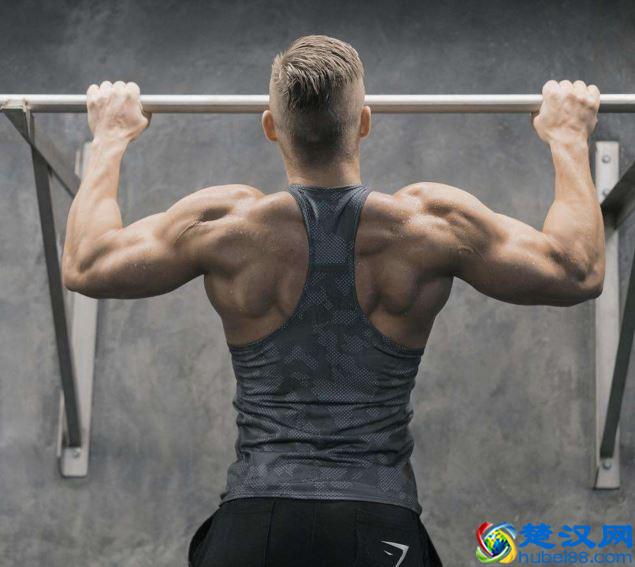 健身的常识很多，但这几个是你最需要懂的，各位新手值得一看