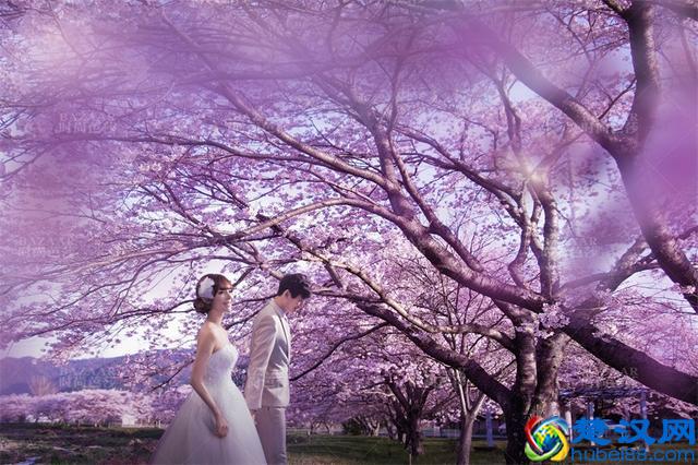 薰衣草代表了爱情，薰衣草花语，原来还有这么多含义？