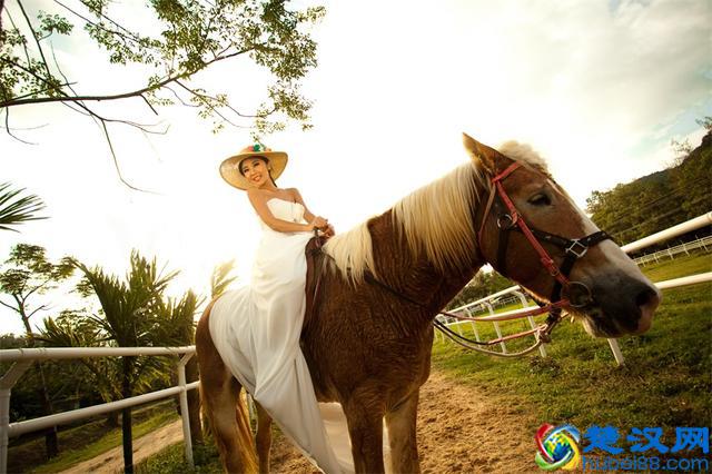 薰衣草代表了爱情，薰衣草花语，原来还有这么多含义？