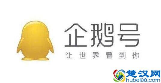 自媒体5大平台，手机操作就可赚钱，一天赚200元值得收藏