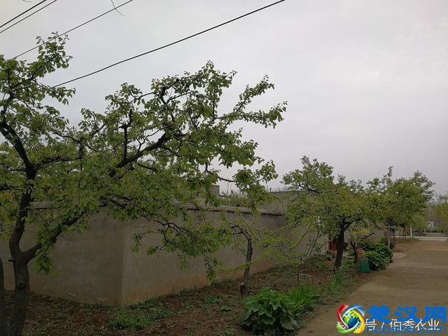 农民足不出户赚80000元，这种挣钱方式你认同吗？