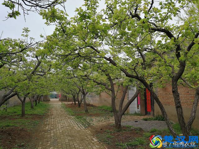 农民足不出户赚80000元，这种挣钱方式你认同吗？