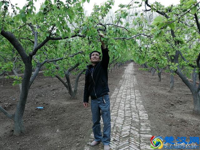 农民足不出户赚80000元，这种挣钱方式你认同吗？