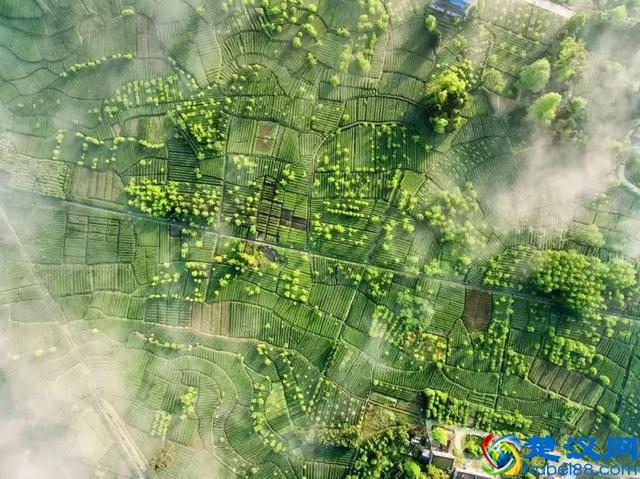 2019年国家先给钱后建设的4类农业产业项目，最多补贴1个亿