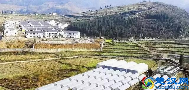 2019年国家先给钱后建设的4类农业产业项目，最多补贴1个亿