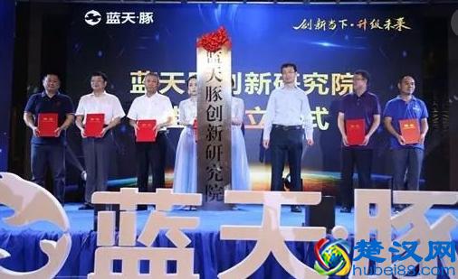 哪个硅藻泥品牌好？如何选择硅藻泥加盟品牌？