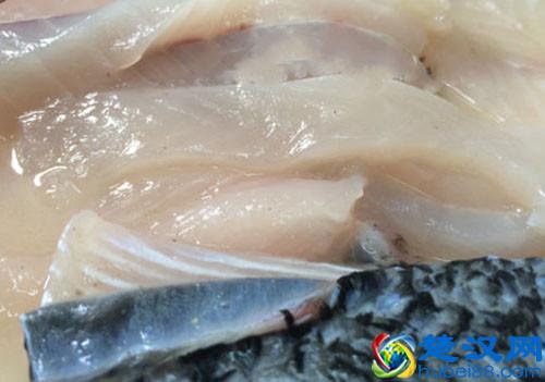 广州最好吃的鱼有哪些？只为吃一条鱼