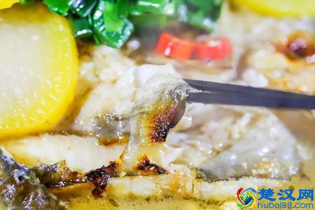 广州最好吃的鱼有哪些？只为吃一条鱼