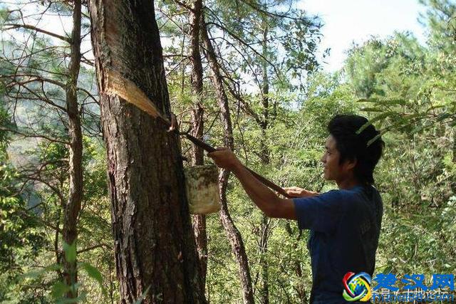 在农村，这3个创业项目来钱快，很多人却不愿意干