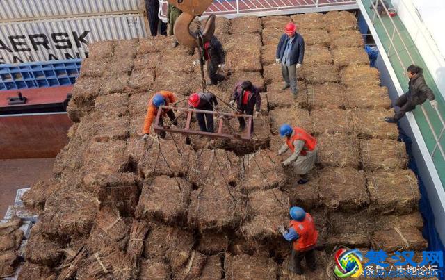 在农村，这3个创业项目来钱快，很多人却不愿意干