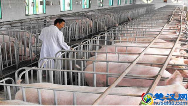 20万人民币,在农村投资什么项目能赚钱?