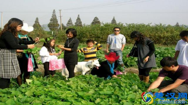 20万人民币,在农村投资什么项目能赚钱?