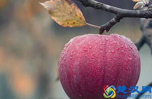 农村创业适合开什么厂