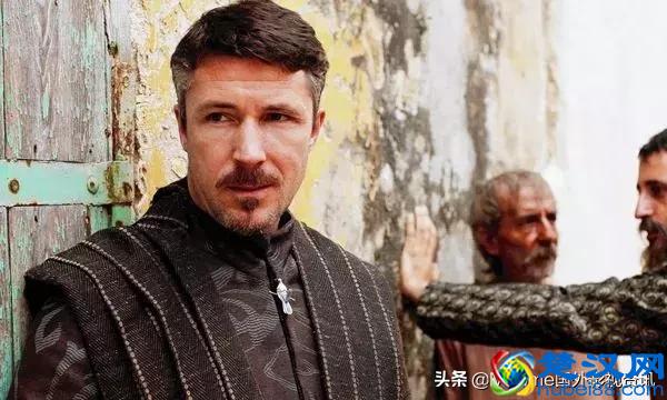 何为蓝皮书?蓝皮书计划又是什么?