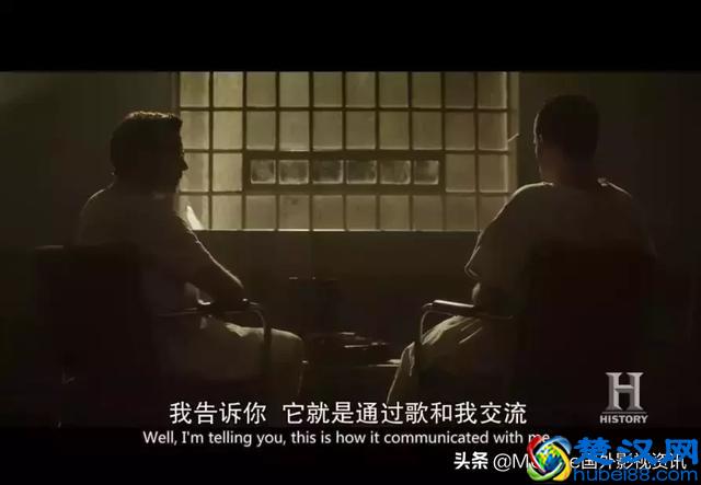 何为蓝皮书?蓝皮书计划又是什么?